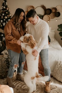 Image 3 of Studio + Snow Minis 2023