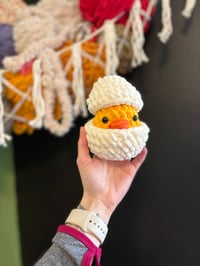 Image 2 of Chick in an egg 