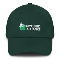Image 1 of NYC Bird Alliance Cap