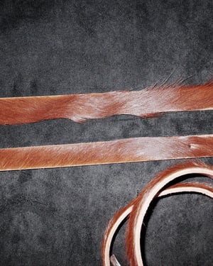 Image of KLDSCOPE - Joey Moo Belt (Darker Shades)