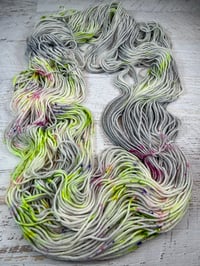 Image 4 of Spring Spin on WA&WC