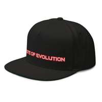 Image 3 of STATE OF EVOLUTION SNAPBACK (Black New Style)