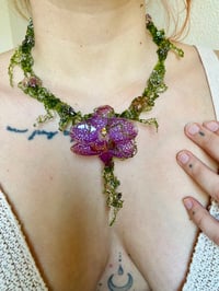 Image 9 of 🌿💜Orchid in Mosslight💜🌿