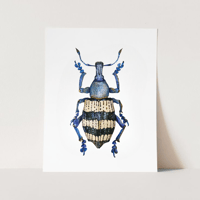 Image 6 of Weevil Beetle Watercolor Illustration PRINT 