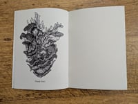 Image 6 of Fungi Vol. 8 