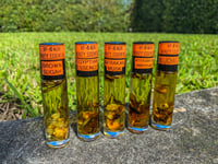 Image 1 of Roll on Fragrance Oils 