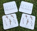 Scilly Pelagics Coaster - Logo