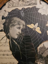 Image 8 of Huge Statement Victorain Faceless Spider Girl, Graveyard And Poem With Real Web 