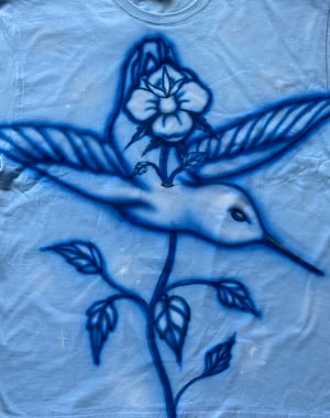 Image of Baby Blue Bird