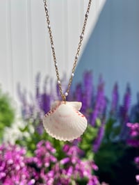 Image 2 of Scallop Shell Necklace N185