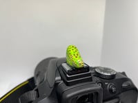 Image 2 of Kākāpō Hotshoe Cover