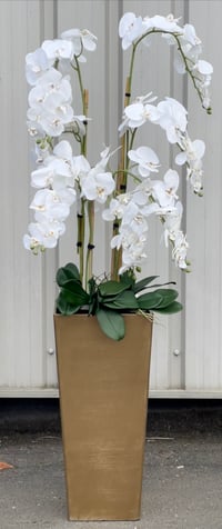 Image 1 of NEW! Extra tall floor standing orchid 