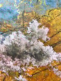 Image 3 of A Walk through the sticks- April S. Olson