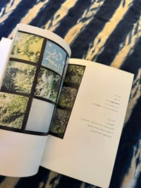 Image 2 of The eyes, the ears- Rinko Kawauchi, 2005