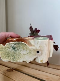 Image 3 of Thanksgiving Cactus in Scottie Dog Planter