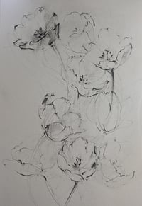 Tulips no. II