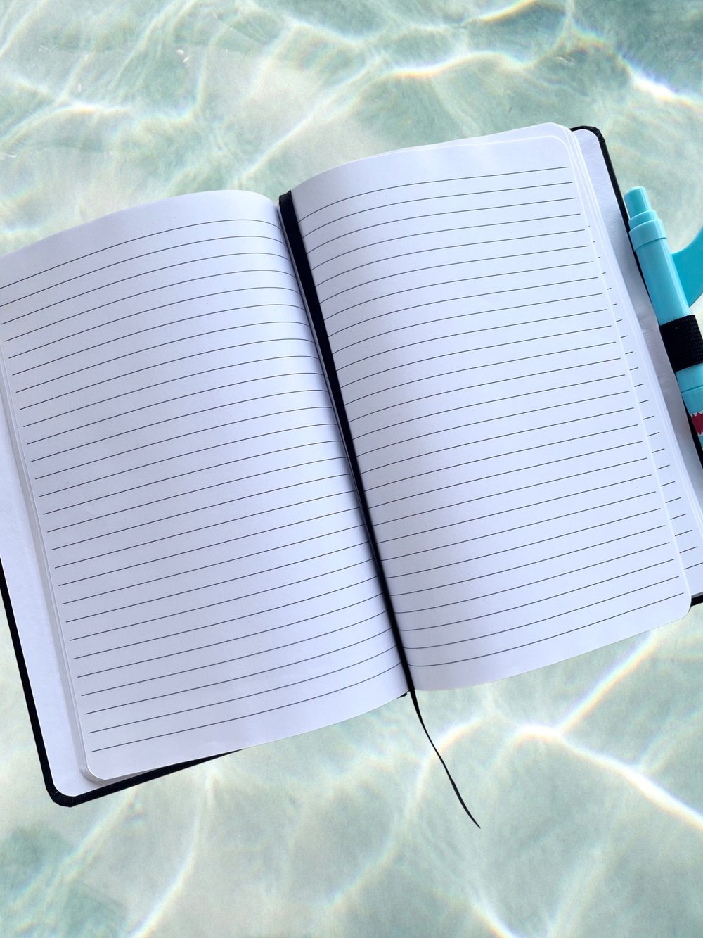 Emotion Support Shark Notebook