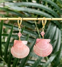 Image 1 of  Scallop Earrings E132 