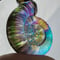 Image of Ammonite Light Bender I