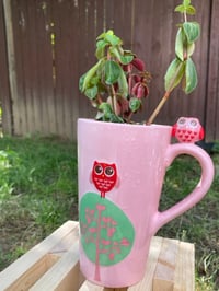 Image 2 of Red Log Peperomia in Pink Double Owl Mug