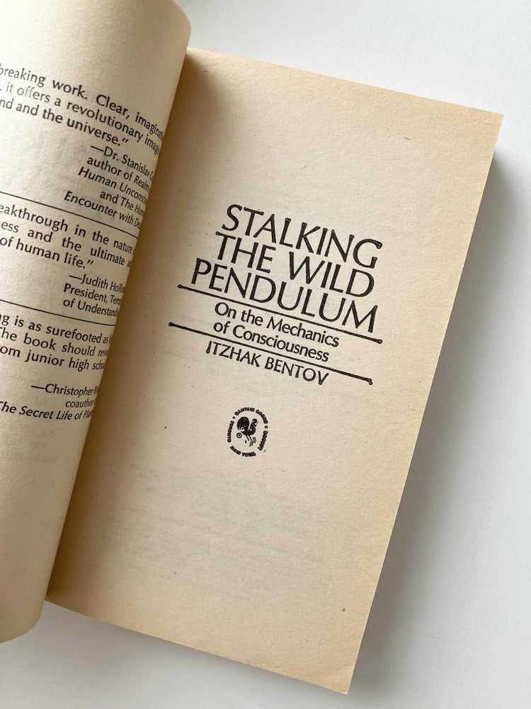 Stalking the Wild Pendulum: On the Mechanics of Consciousness Image 2