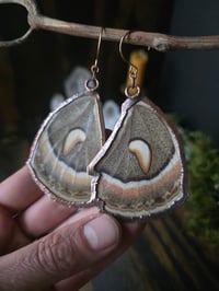 Image 1 of Cecropia Moth Wing Earrings #2