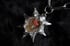 dead good snail mushroom and bee wing spiky necklace Image 8