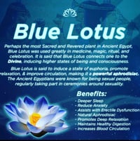 Image 3 of Blue Lotus Herbal Extract 