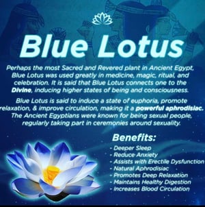 Image of Blue Lotus Herbal Extract