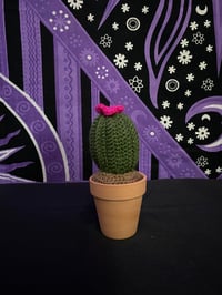 Image 1 of Cactus Amigurumi 