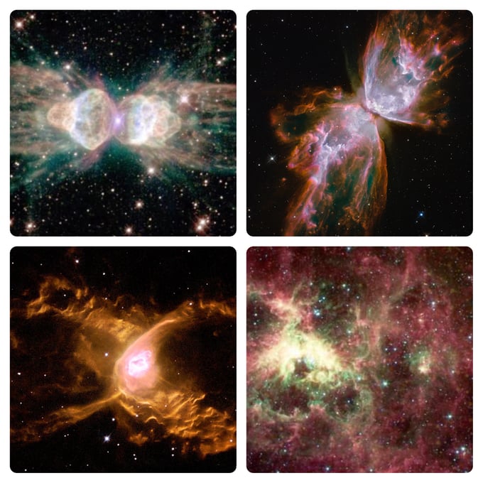 Image of Insect Nebula 4 pack 