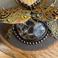 Image 3 of Snake skin vertebrae beetle (a, 4 inches)