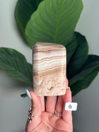 Image 7 of CHOOSE YOUR OWN BANDED CALCITE FREEFORM -UTAH- 