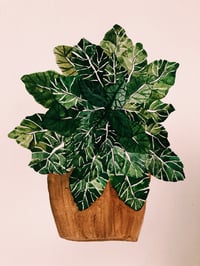 ‘Plant Pal’ Print