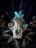 Light Blue Aura Quartz & Chalcopyrite- Bobcat Skull
