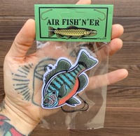 Image 1 of Sunfish Air Fish’n’er