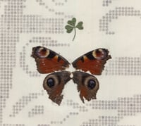 Image 2 of paris ‘25