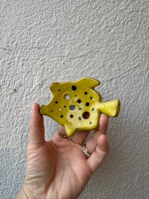 Image of Box fish herb stripper