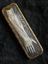 Image 1 of Repurposed Vanity series antique Anatomical with preserved web D