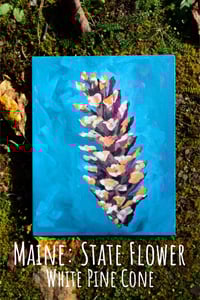Image 2 of Pinecone Studies