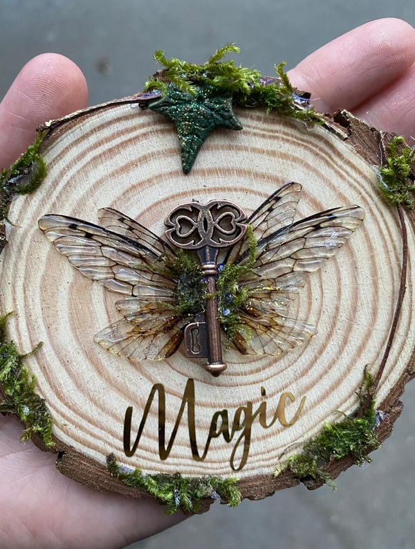 Image of Magic faerie wing and key log slice 