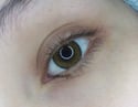pro hazel 