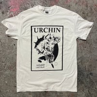 Image 5 of Urchin 
