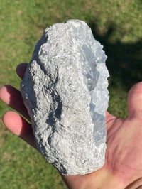 Image 5 of Celestite Geode #1950