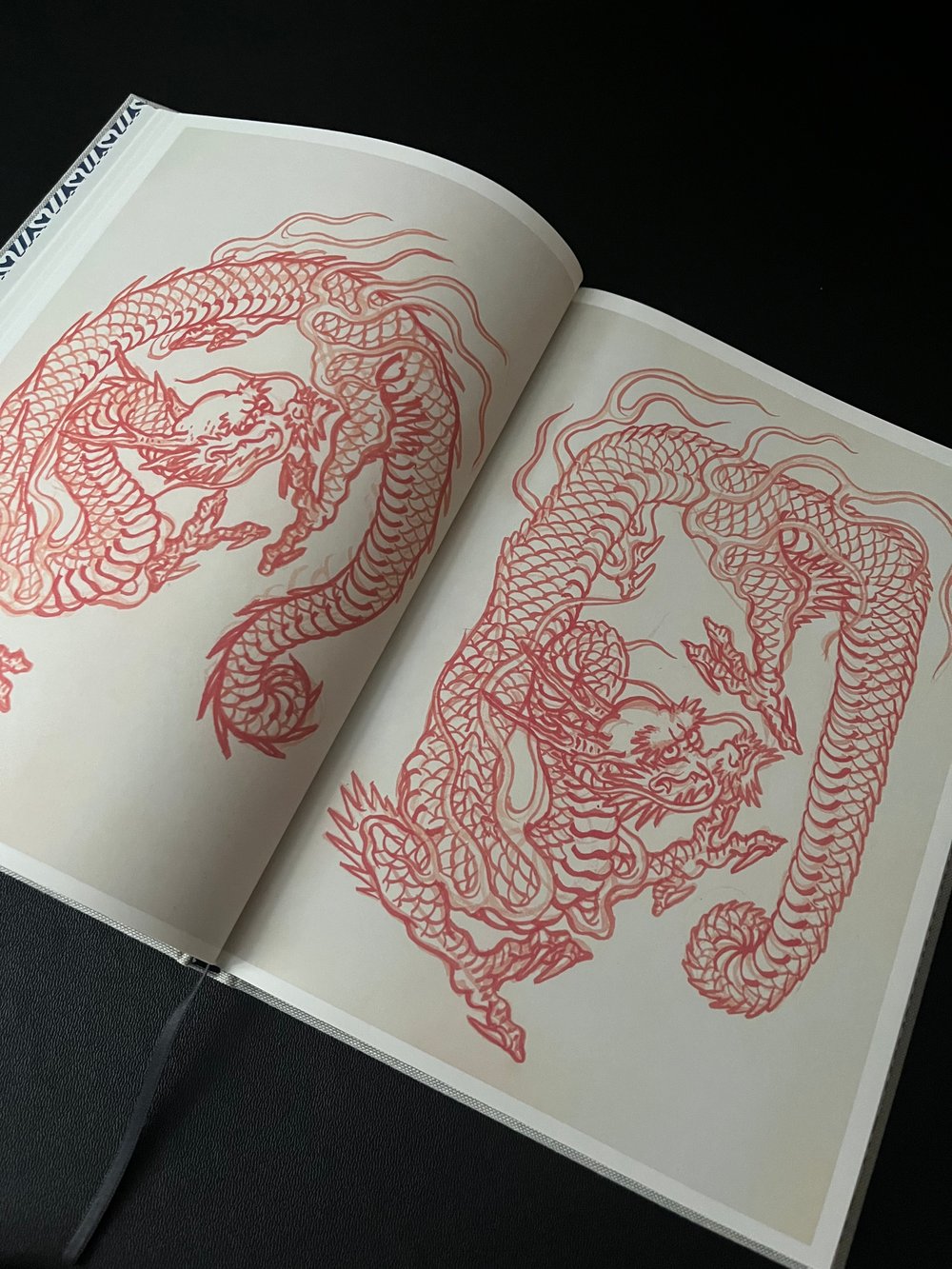 DRAGÓN STUDIES BOOK 