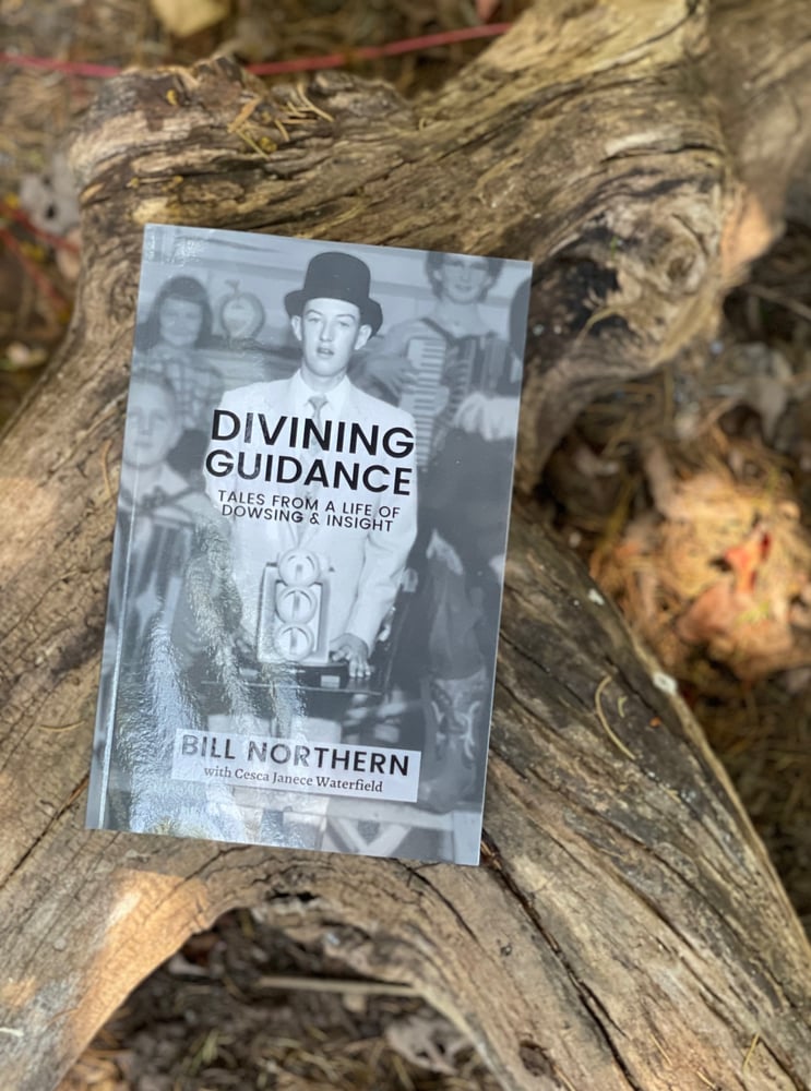 Image of Divining Guidance: Tales from a Life of Dowsing & Insight