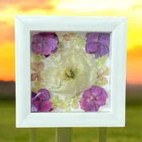 Image 1 of Genuine White Hollyhock, Hydrangea & Geranium Wildflower Art In 6" X 6" Shadow Box (Item# 202301S)