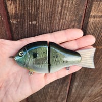 4" skiny gill  ( natty gill )