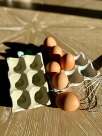 Image 2 of Nest Egg