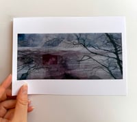 Image 2 of Giclée Print of 'winter forest'
